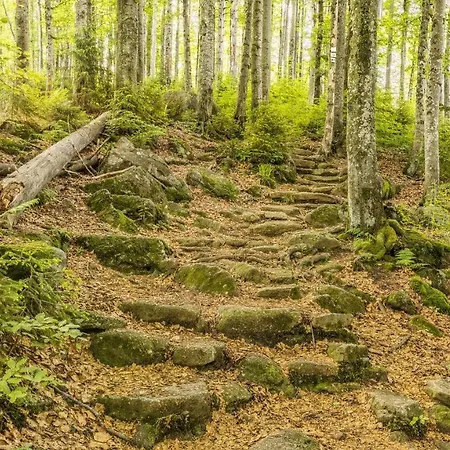 Ferienwohnung Bayrischer Wald - Urlaub In Schoener Natur, Schwimmbad, Relaxen, Sauna *