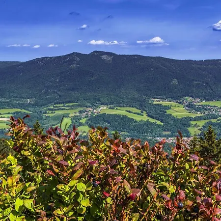 Ferienwohnung Bayrischer Wald - Urlaub In Schoener Natur, Schwimmbad, Relaxen, Sauna *