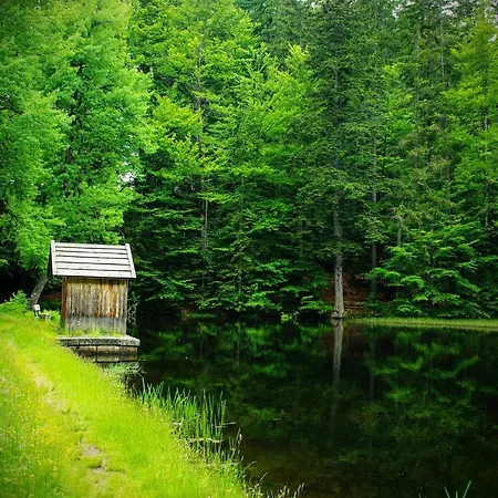 アパート Ferienwohnung Bayrischer Wald - Urlaub In Schoener Natur, Schwimmbad, Relaxen, Sauna ツヴィーゼル