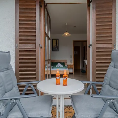 Bayrischer Wald - Urlaub In Der Natur, Schwimmbad, Relaxen, Sauna Appartement Zwiesel